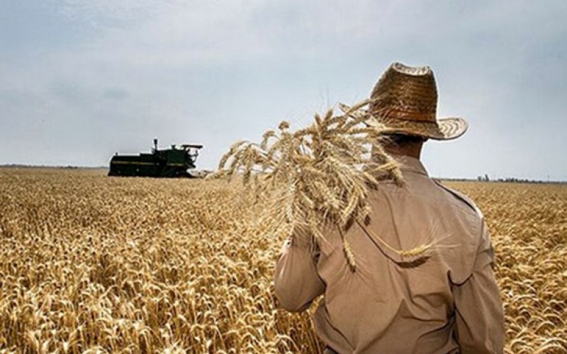 تاوان بی‌پولی دولت را کشاورز باید بدهد - بهار نیوز