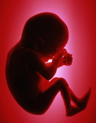 افزایش سقط جنین و ناباروری به خاطر پارازیت‌ها