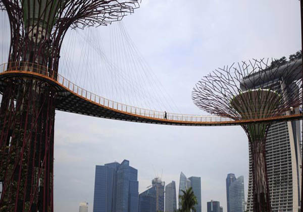 نمایی زیبا از پل هوایی درختی در سنگاپور