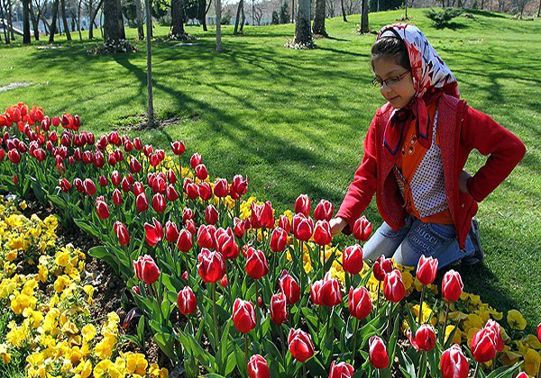 جشنواره گلهای پیازی در مشهد
