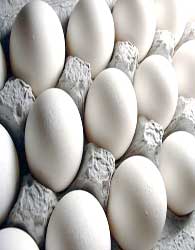 قیمت هر شانه تخم‌مرغ حدود 10 هزار تومان