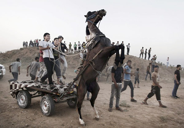 مسابقه اسب‌دوانی در شمال نوار غزه