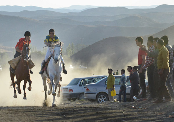 جشنواره اسب ترکمن در بجنورد