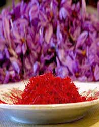افزایش رقبای زعفران ایرانی و نوسان قیمت