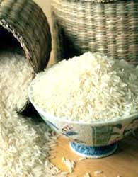 واردات بیش از حد دلیل کاهش قیمت برنج