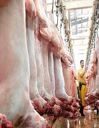 وضعیت قیمت گوشت تا پایان سال جاری