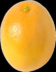 تولید ظروف یکبار مصرف با پوست پرتقال