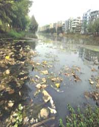 آلودگي منابع آبی از طریق کودهای شیمیایی
