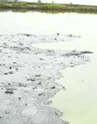 پاکسازی آلودگی نفتی رودخانه جراحی