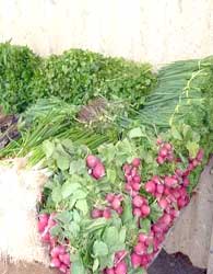 صادرات سبزیجات سالم خوزستان به روسیه ‌