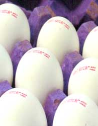 حک شدن قیمت روی تخم‌مرغ‌ها