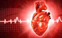 قلب، چند بشکه خون پمپاژ می‌کند؟