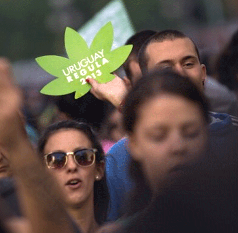 تولید ​و مصرف ماری​جوانا در اروگوئه آزاد شد!