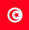 نخست‌وزیر تونس دلايل استعفايش را گفت