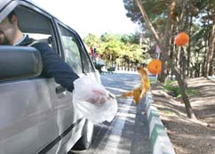 جریمه پرتاب زباله از خودروها افزایش یافت