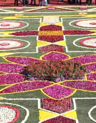 افتتاح ‌بزرگ‌ترین فرش گل کشور در اهواز