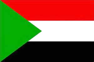 همه زندانیان سیاسی در سودان آزاد شدند