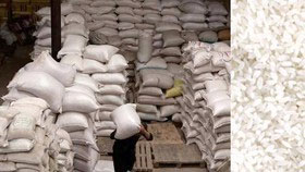 رشد 51 درصدی واردات برنج به کشور