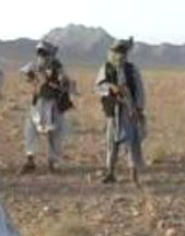 طالبان پاکستان 100 مرد روستایی را ربودند