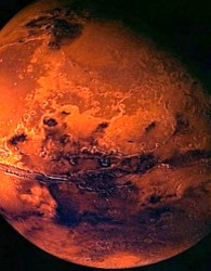امکان کاشت سبزیجات در مریخ تا 2024