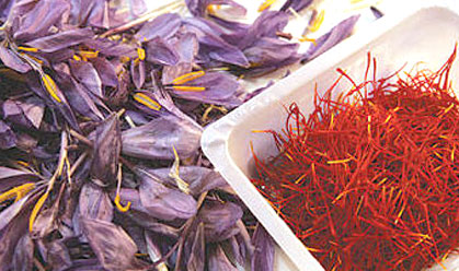 بازار زعفران جولانگاه دلالان شده است