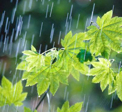 هشدار بارش شدید باران در 8 استان
