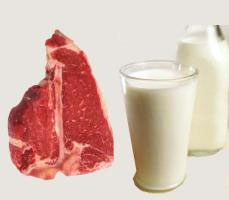 آيا قيمت شیر و گوشت گران می‌شود؟
