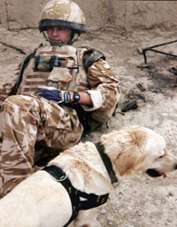 اعطای مدال افتخار ارتش انگلیس به یک سگ