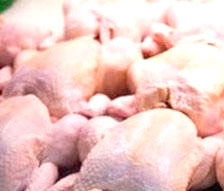 تعیین قیمت براي گوشت مرغ در ماه رمضان