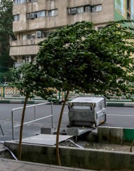 هشدار نسبت به وزش باد شدید در تهران