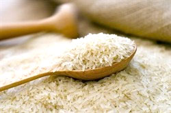 ایران چهارمین واردکننده بزرگ برنج