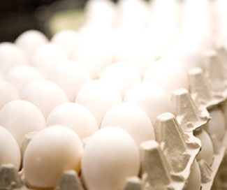 افزایش 11 درصدی قیمت تخم‌مرغ