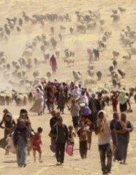 سازمان ملل وضعیت آوارگان را در سِنجار عراق اسفناک خواند