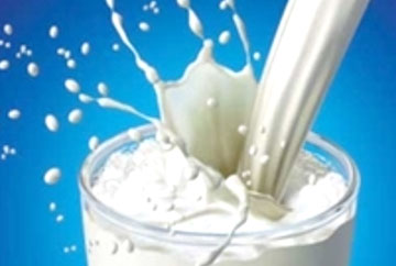 سرانه مصرف شیر در ایران کمتر از نصف