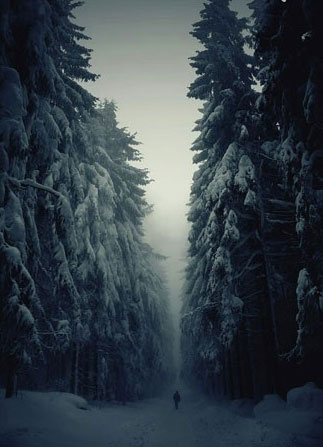 جاده جنگل زمستانی؛ جمهوری چک