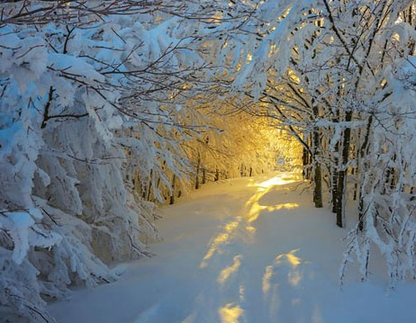 طلوع خورشید زمستانی در کامپینا نشنال پارک؛ ایتالیا