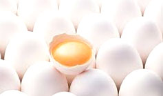 افزایش 1000 تومانی قیمت هرکیلو تخم‌مرغ