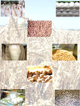 افزایش قیمت مرغ و برنج لبنیات ارزان شد