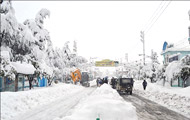 تعطیلی 8 شهر در اردبیل به دلیل بارش برف