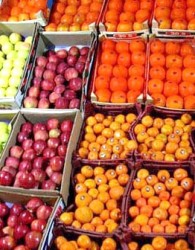 واردات انواع میوه و پرتقال ممنوع است