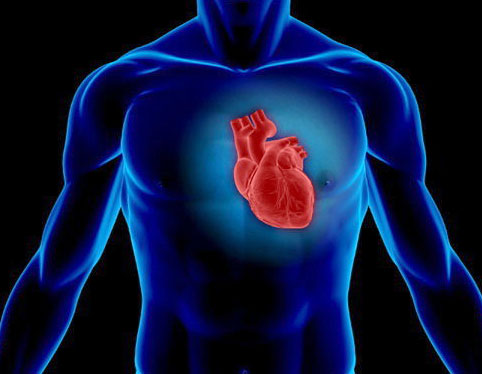 درد در کجا نشانه بیماری‌ قلبی است؟