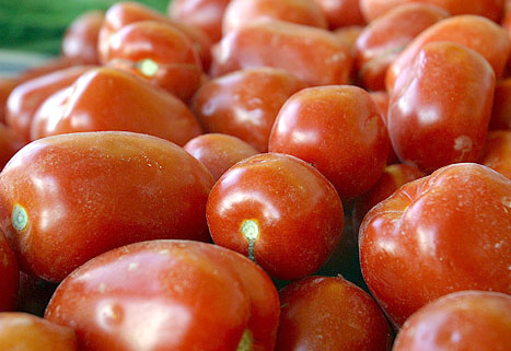 گرانی 109 درصدی گوجه فرنگی