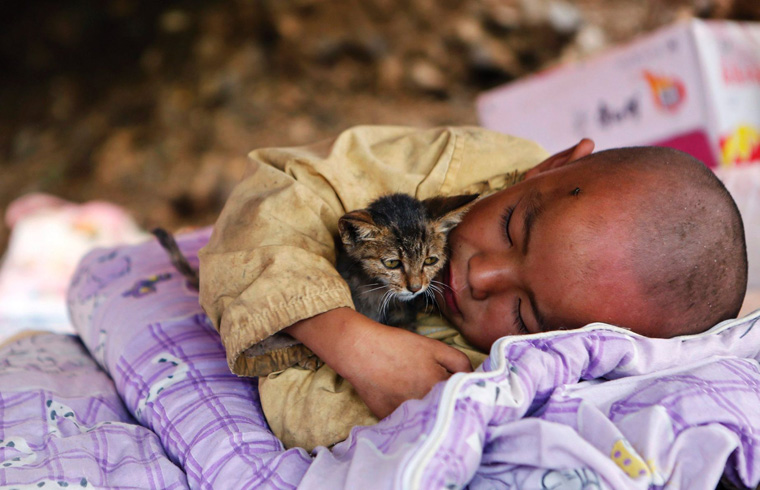 پسر بچه ای که پس از نجات یافتن از زلزله بچه گربه ای را بغل کرده است در چین