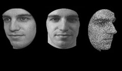 چرا مردان در تشخیص چهره سریعترند؟