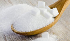 دانشمندان درصدد تولید مورفین از «شکر»