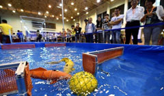رقابت ماهی‌های رباتی در چین