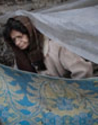 زنگ خطر افزایش تعداد زنان معتاد بی‌خانمان در رشت