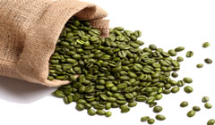 برتری آنتی‌اکسیدانی قهوه سبز نسبت به چای سبز