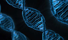 درمان جدید برای سرطان‌هایی با امضای ژنتیکی