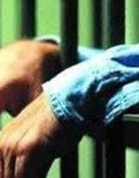 مجرمان در زندان اصلاح نمی‌شوند
